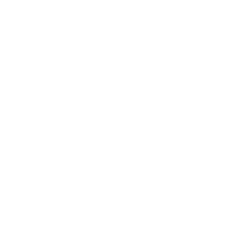 Dougherty County, GA Seal